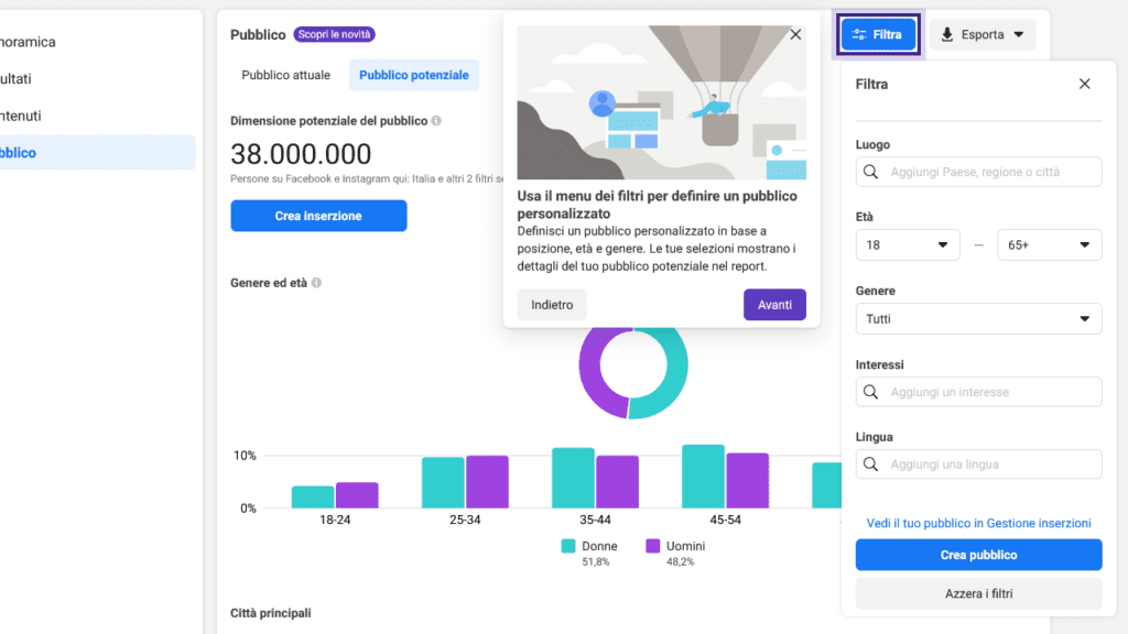 usa il menu dei filtri per definire un pubblico personalizzato