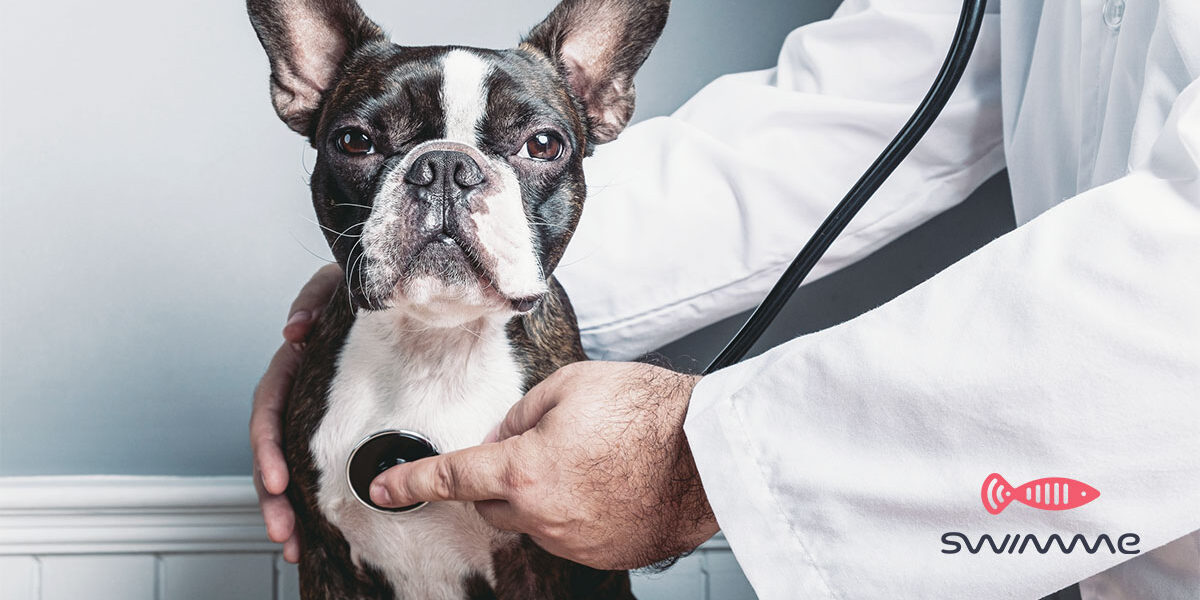 pubblicità veterinario come trovare clienti con outbound marketing